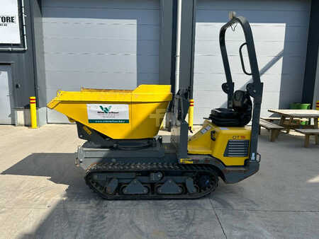 Mini tombereau 2023 Wacker Neuson DT 15 (1)