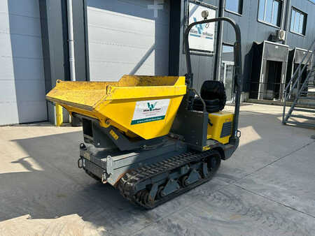 Mini tombereau 2023 Wacker Neuson DT 15 (2)