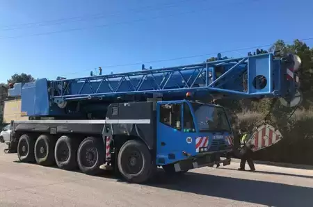 Autogru 2008 Demag AC 120-1 (1)