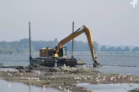 Korečková rýpadla 0 Caterpillar 320 amphibious excavator bigfloat swampbuggy (8)
