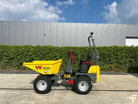 Dumpers articulados 2025 Wacker Neuson DW15 (1)