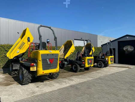 Dumper 2021 Wacker Neuson DW 60 (2)