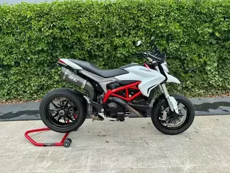 Koparki gąsienicowe 2021 [div] R 1250 GS 40 year (12)