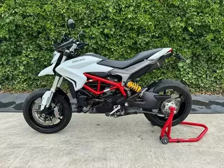 Koparki gąsienicowe 2021 [div] R 1250 GS 40 year (15)
