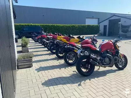 Koparki gąsienicowe 2021 [div] R 1250 GS 40 year (29)