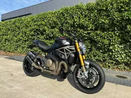 Koparki gąsienicowe 2021 [div] R 1250 GS 40 year (6)