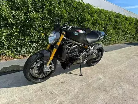 Koparki gąsienicowe 2021 [div] R 1250 GS 40 year (7)