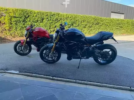 Koparki gąsienicowe 2021 [div] R 1250 GS 40 year (8)