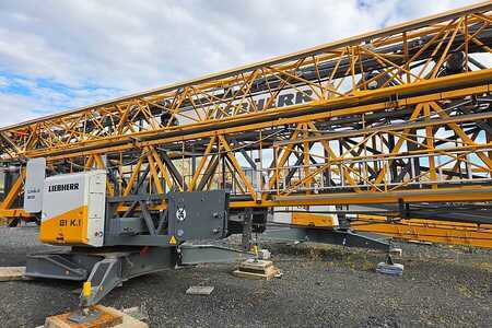 Żurawie samowznoszące 2023 Liebherr 81 K.1 (8)