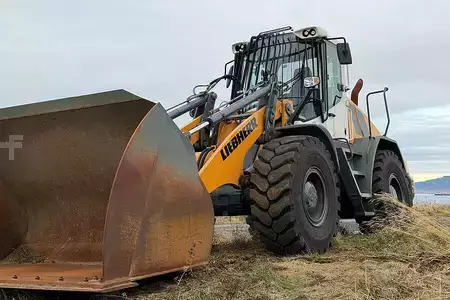 Hjullaster 2020 Liebherr L546 (1)