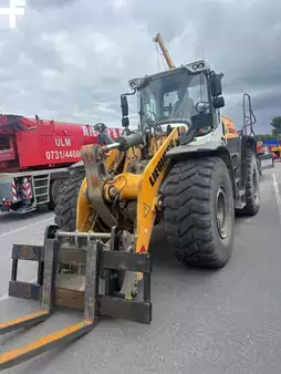 Pale Gommate 2019 Liebherr L 550 XPower (1)
