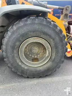 Pale Gommate 2019 Liebherr L 550 XPower (6)