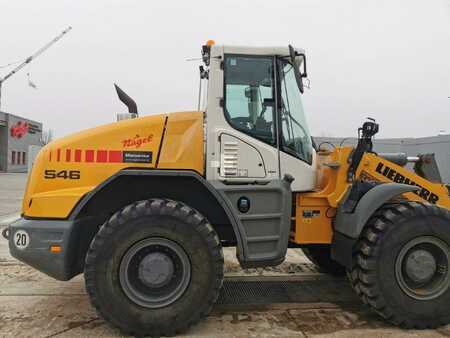 Radlader 2018 Liebherr L 546 (4)