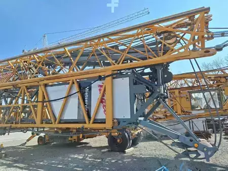 Miscelaneo 2010 Liebherr 81K (1)