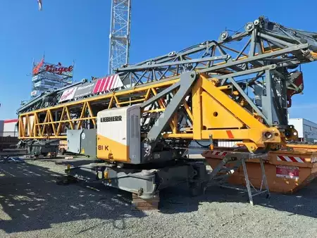 Miscelaneo 2010 Liebherr 81K (2)