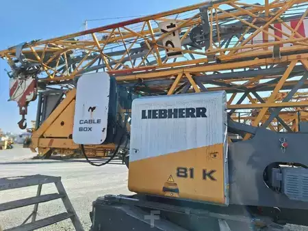 Miscelaneo 2010 Liebherr 81K (3)