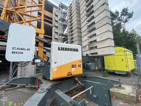 Muut 2015 Liebherr 81K (3)