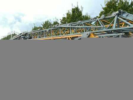 Sonstige 2013 Liebherr 81K (1)