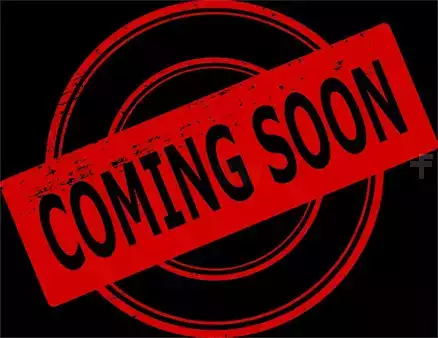 Koparki gąsienicowe 2014 Caterpillar M318D MH (2)