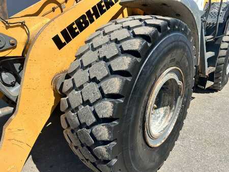 Hjullæsser 2016 Liebherr L 556 (13)