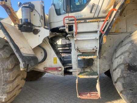 Hjullæsser 2019 Volvo L 150 H LongBoom (12005702) (20)