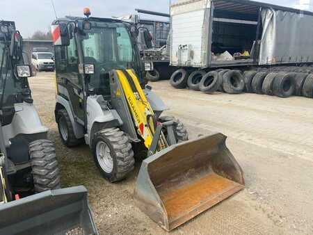 Radlader 2021 Kramer 5035 MIETE / RENTAL (12001692) (1)