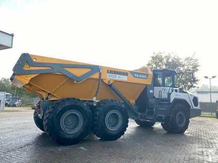 Knickgelenkte Muldenkipper/Dumper 2022 Liebherr TA 230 Guarantee 05/2026 MIETE / RENTAL (12001923) (7)