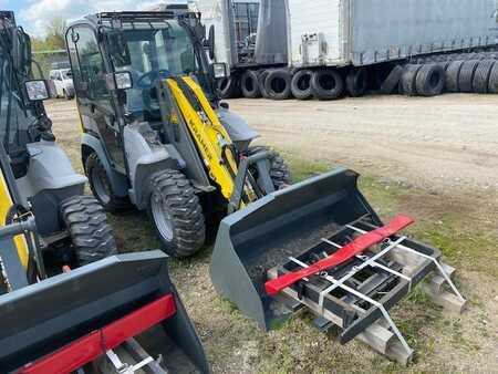 Carregadeira de rodas 2023 Kramer 5035 MIETE / RENTAL Niedrigkabine (12002042) (1)