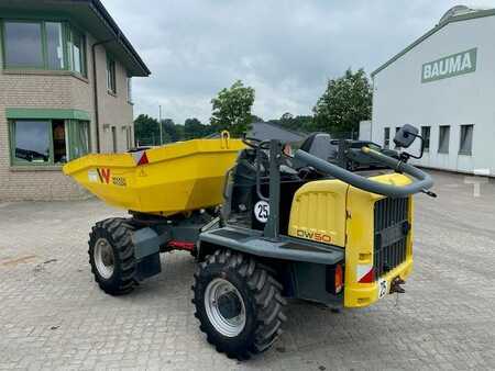 Mini dumpers 2017 Wacker Neuson DW 50 MIETE / RENTAL (12001705) (3)