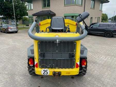 Mini dumpers 2017 Wacker Neuson DW 50 MIETE / RENTAL (12001705) (4)