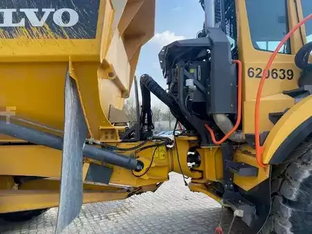 Knikdumpers 2019 Volvo A 25 G MIETE / RENTAL (12005290) (17)