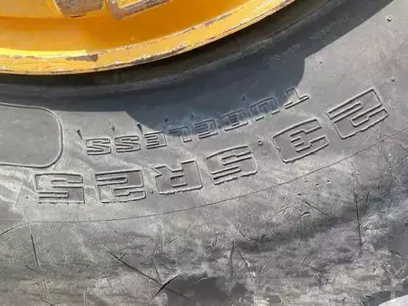 Knikdumpers 2019 Volvo A 25 G MIETE / RENTAL (12005290) (19)