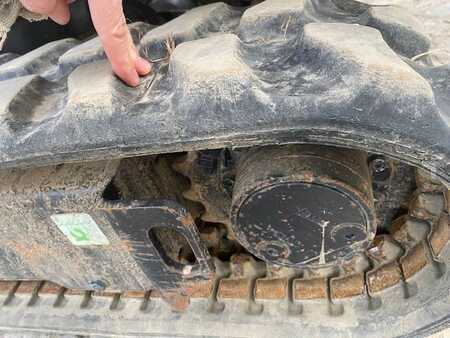 Minibagry 2022 Caterpillar 301.8 MIETE / RENTAL (12001903) (14)