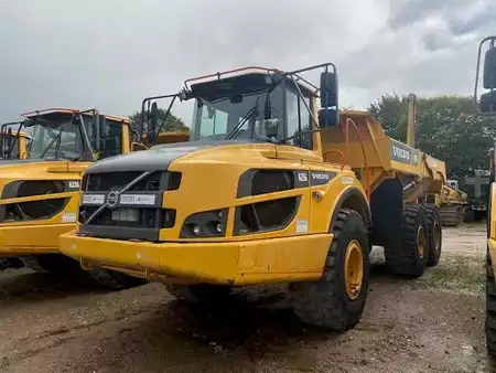 Wywrotki przegubowe 2019 Volvo A 25 G MIETE / RENTAL (12001030) (1)