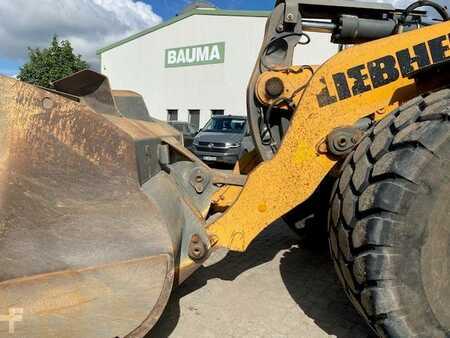 Chargeuse sur pneus 2019 Liebherr L 566 XPower MIETE / RENTAL (12005192) (8)