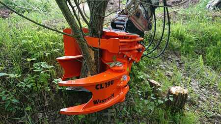 Aggregat 2021 WESTTECH Woodcracker CL190 (3)