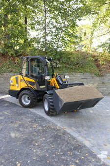 Pale Gommate 2023 Schäffer 2445S K (4)