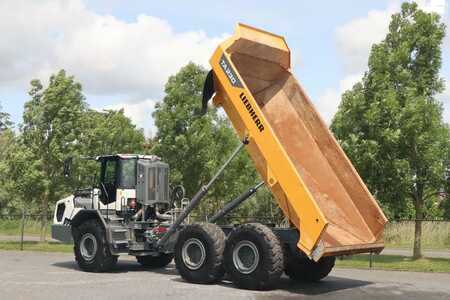 Wywrotki przegubowe 2021 Liebherr TA230 | TAILGATE | GOOD CONDITION (3)