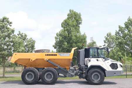 Wywrotki przegubowe 2021 Liebherr TA230 | TAILGATE | GOOD CONDITION (4)