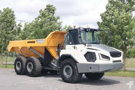 Wywrotki przegubowe 2021 Liebherr TA230 | TAILGATE | GOOD CONDITION (5)