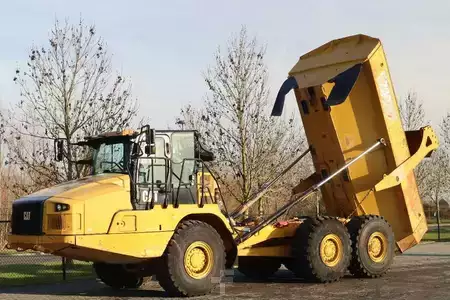 Dumper Articolati 2019 Caterpillar 730 04A | TAILGATE | LOW HOURS (2)