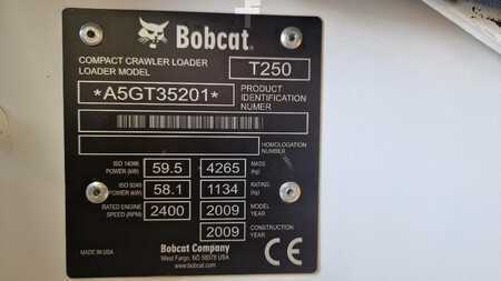 Pale Cingolate 2009 Bobcat T 250 (11)