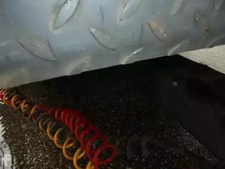 Aanhangwagens 2005 Renders RMAC 9.9 2 AXLE + Combi (9)