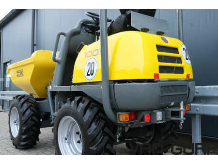 Dumpere 2023 Wacker Neuson 1001 | 2023 | 103h | Dumper Hochkippmulde (2)