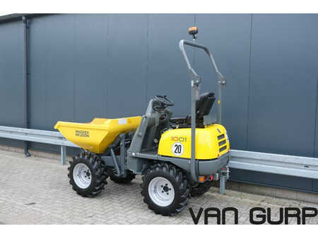 Dumpere 2023 Wacker Neuson 1001 | 2023 | 103h | Dumper Hochkippmulde (3)