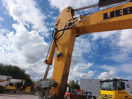 Koparki gąsienicowe 2018 Liebherr R946LC (Lifting Cab) (13)