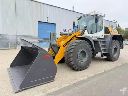 Pale Gommate 2024 Liebherr L 550 XPower (1)