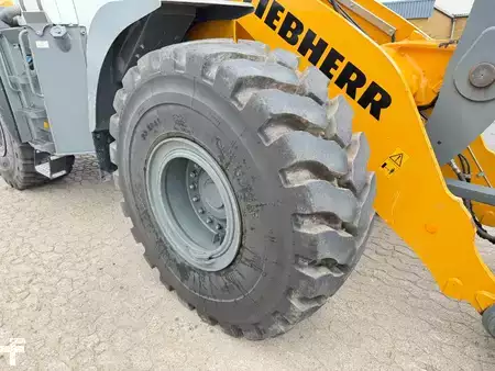 Pale Gommate 2024 Liebherr L 550 XPower (13)