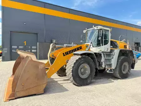 Pale Gommate 2019 Liebherr L 576 (2)