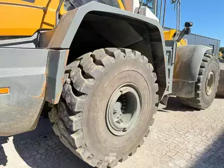 Hjullaster 2021 Liebherr L 586 (19)